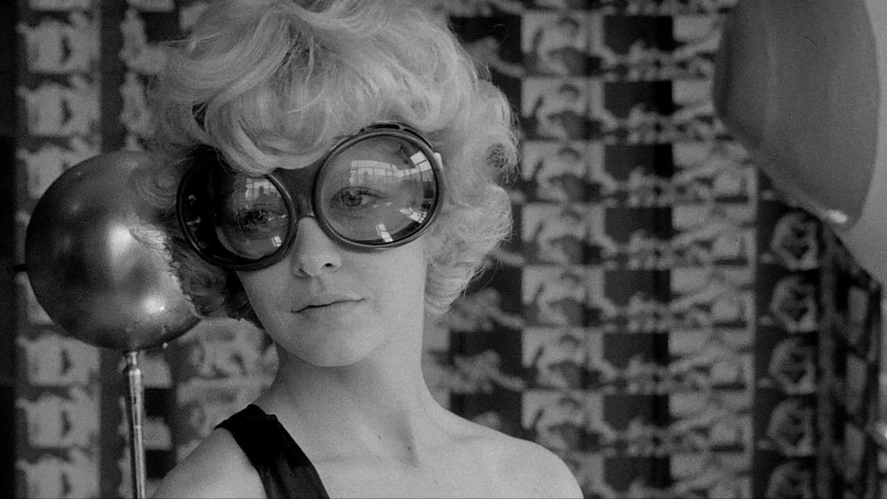 Backdrop – The Telephone Book