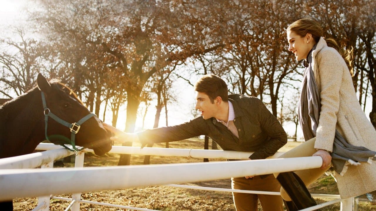 Backdrop – Völlig verrückte Weihnachten