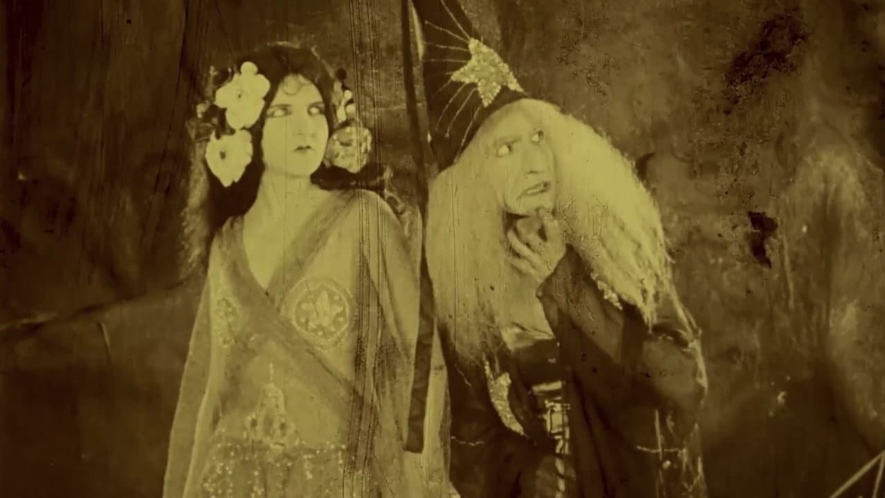 Backdrop – Folly of Vanity