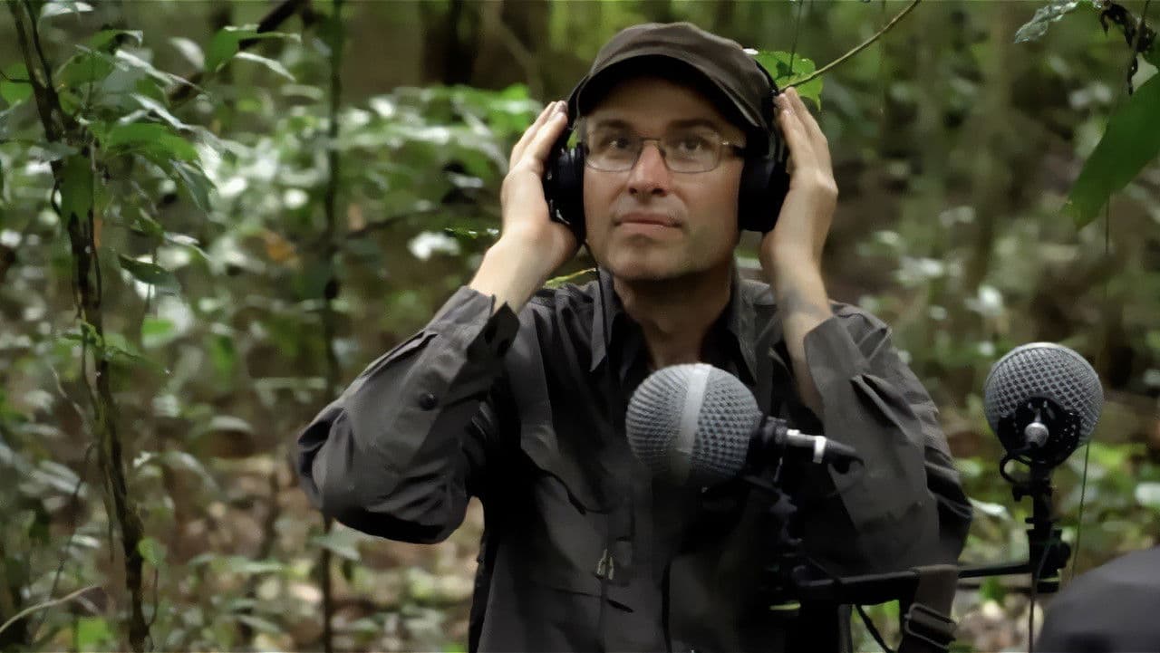 Backdrop – Amazonien - Die Stimmen des Waldes