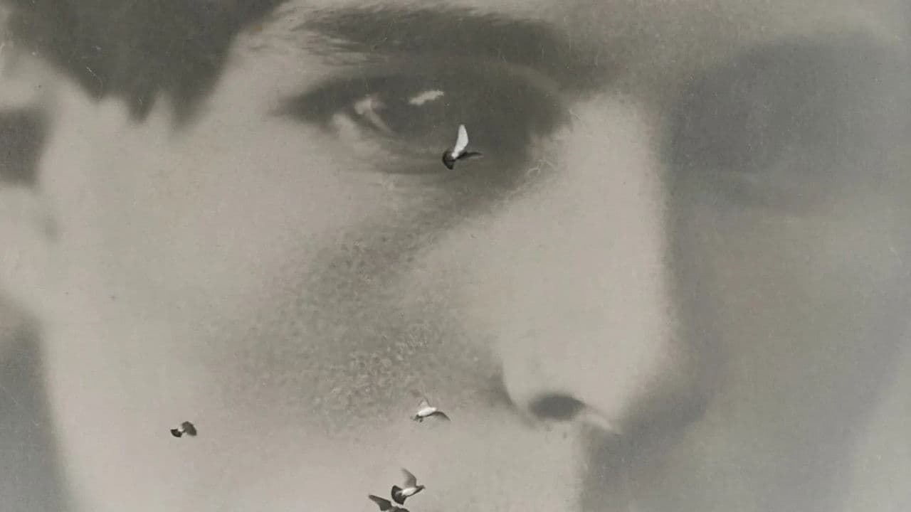 Backdrop – Высокий дух