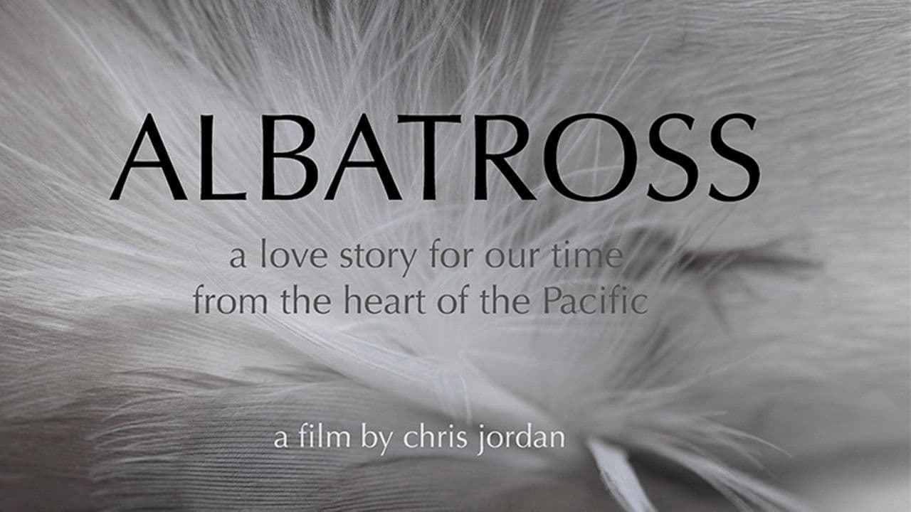 Backdrop – Albatross
