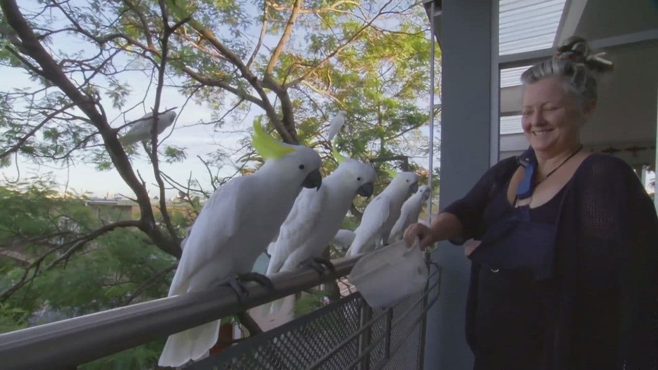 Backdrop – Planet Parrot