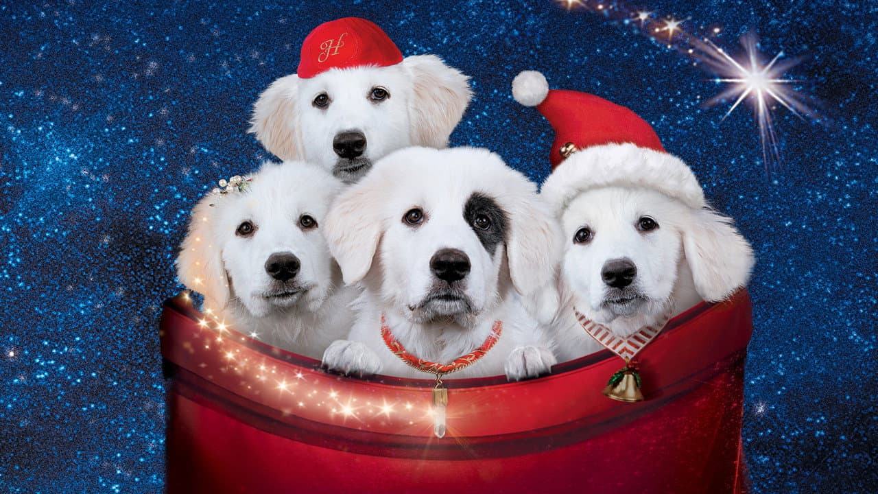 Backdrop – Santa Pfote 2 - Die Weihnachts-Welpen