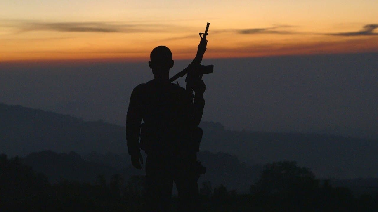 Backdrop – Cartel Land