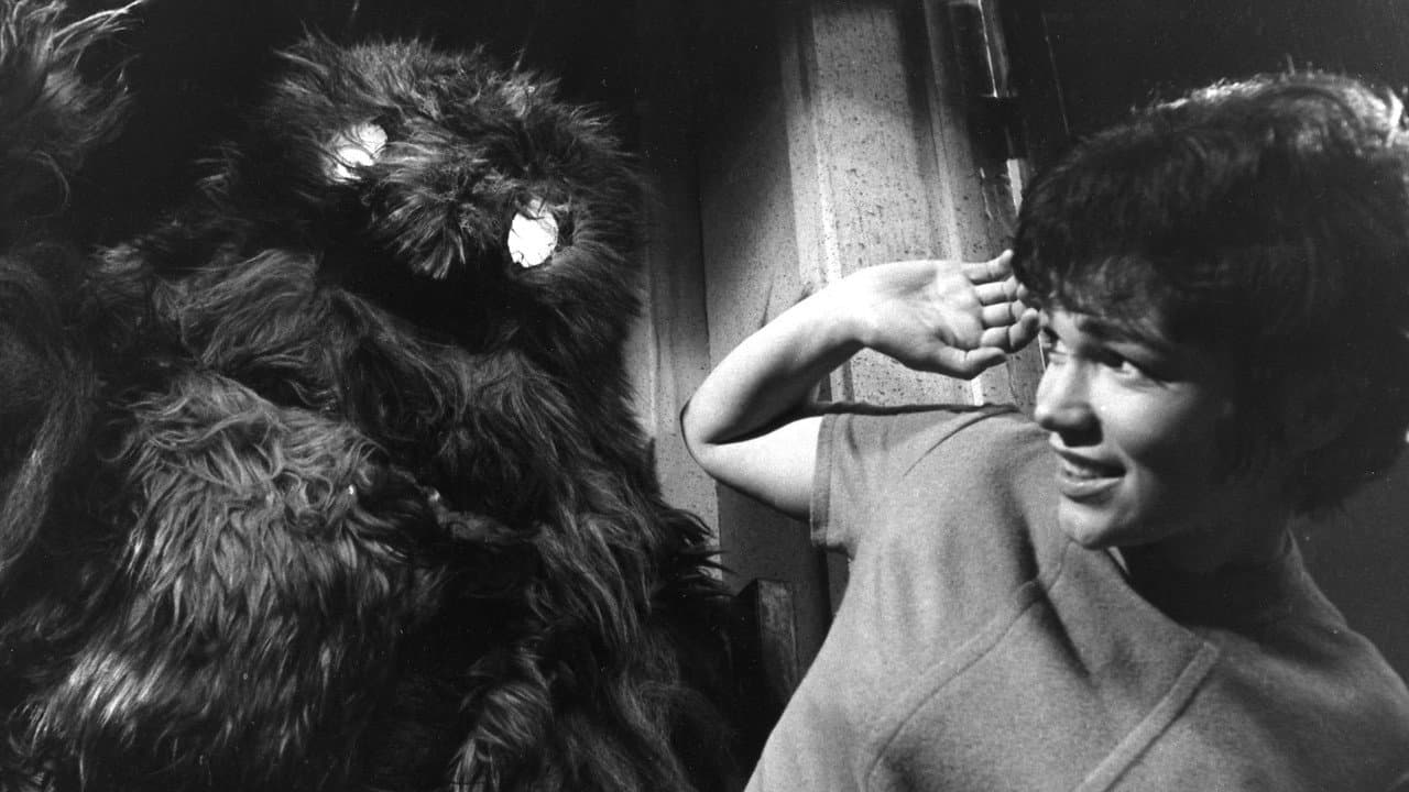 Backdrop – Doctor Who: Das Netz der Angst