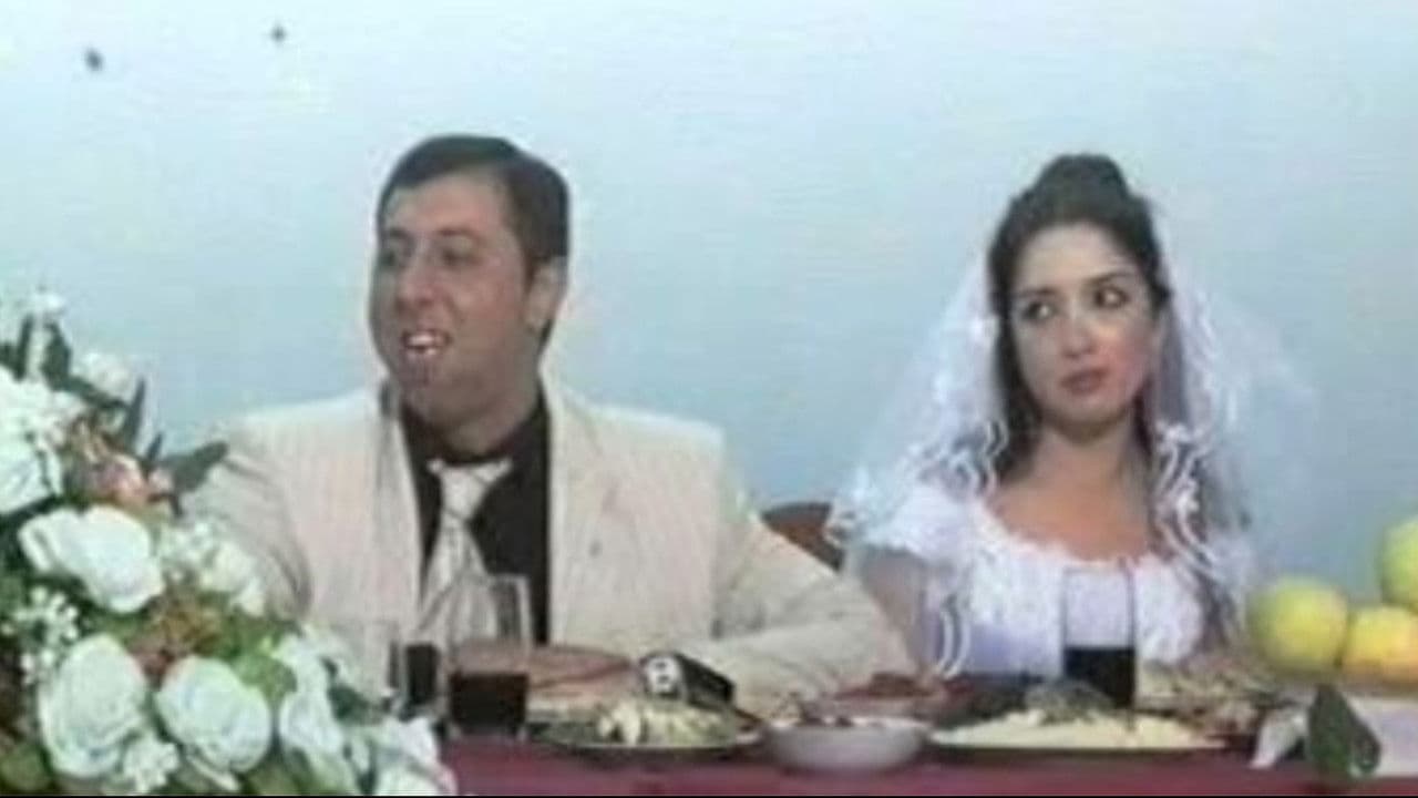 Backdrop – Milçək