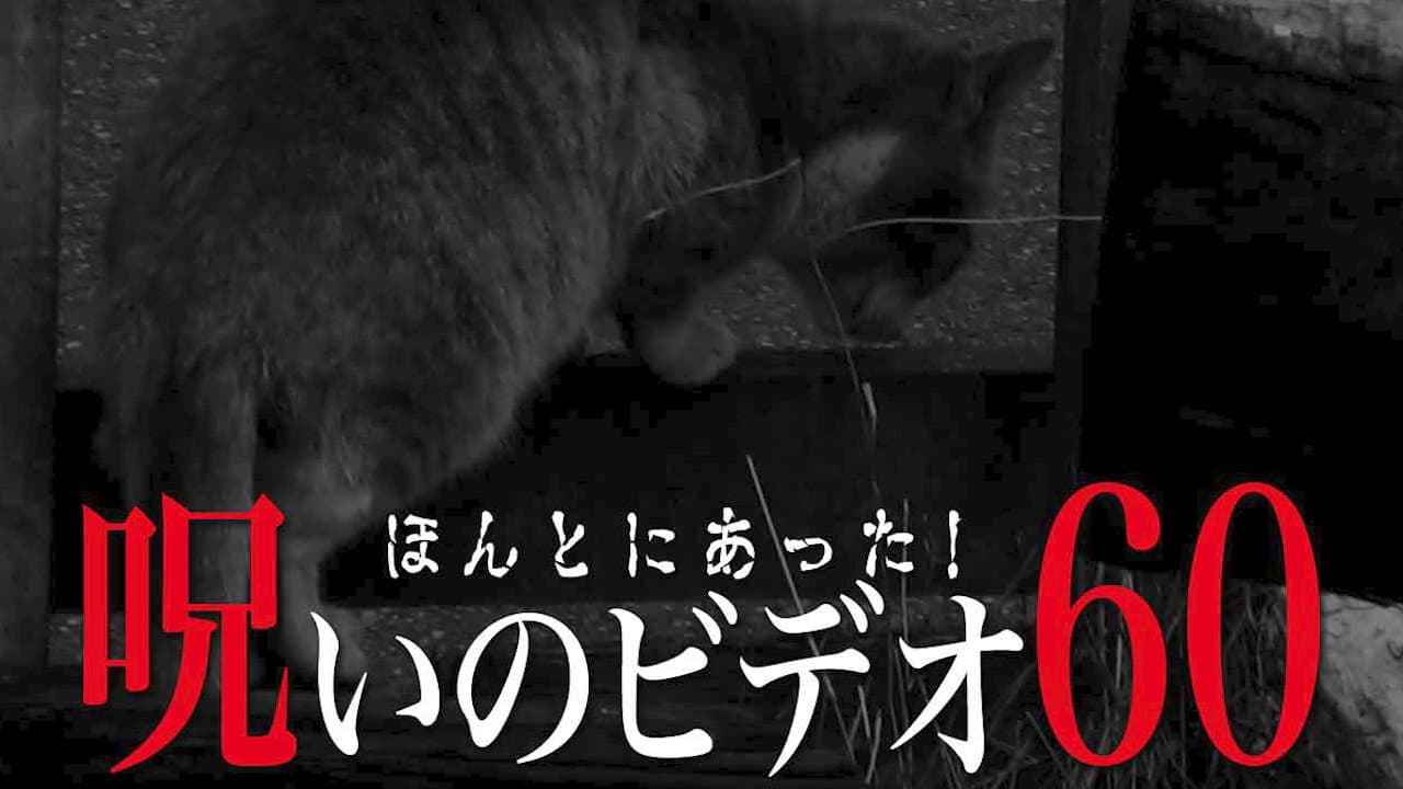 Backdrop – ほんとにあった！呪いのビデオ60