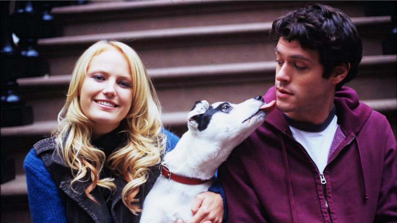 Backdrop – Heavy Petting - Auf den Hund gekommen