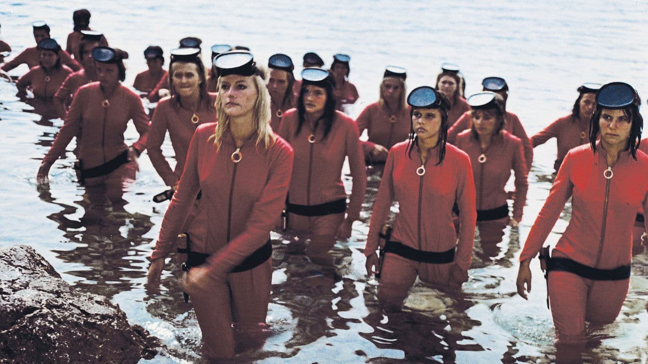 Backdrop – Sončni krik