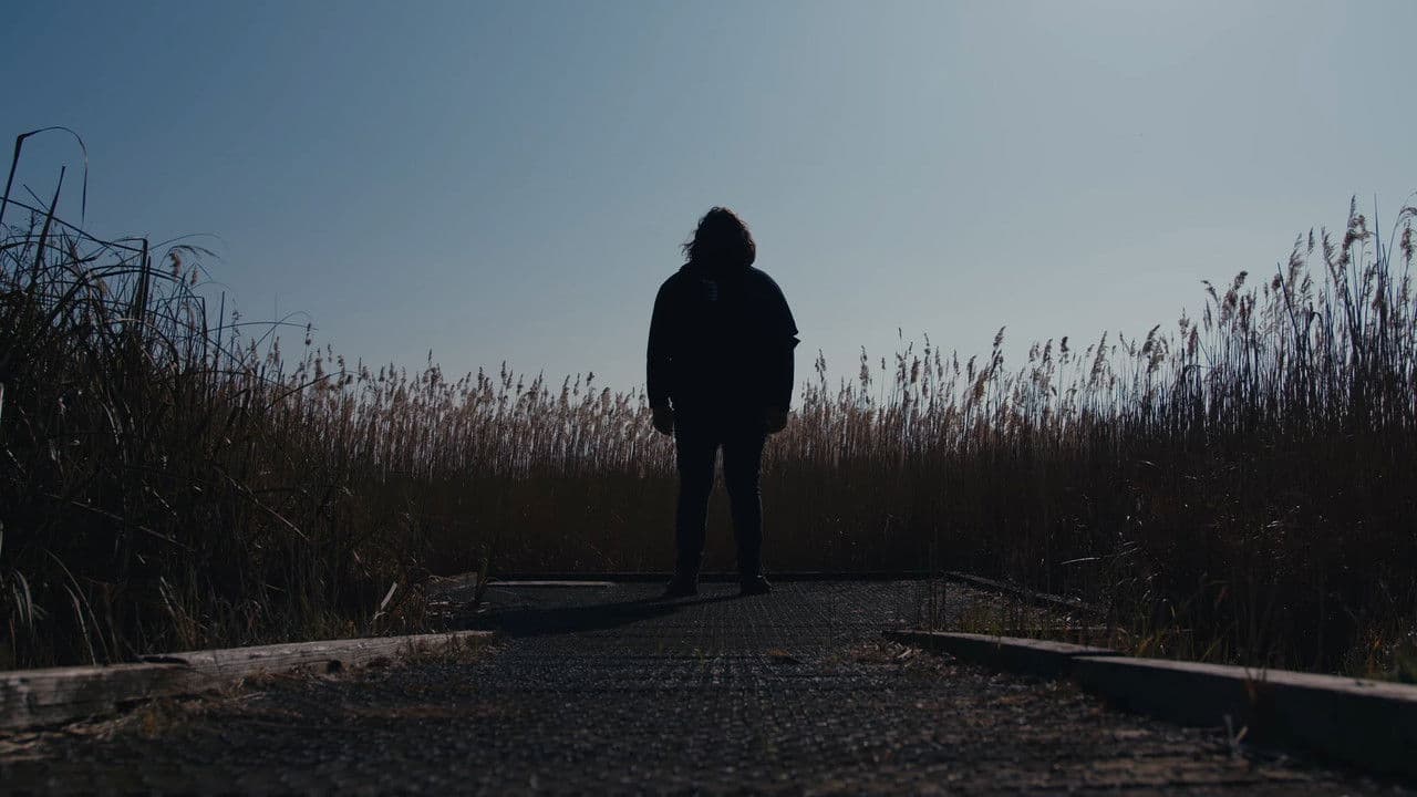 Backdrop – The Caricature: Requiem