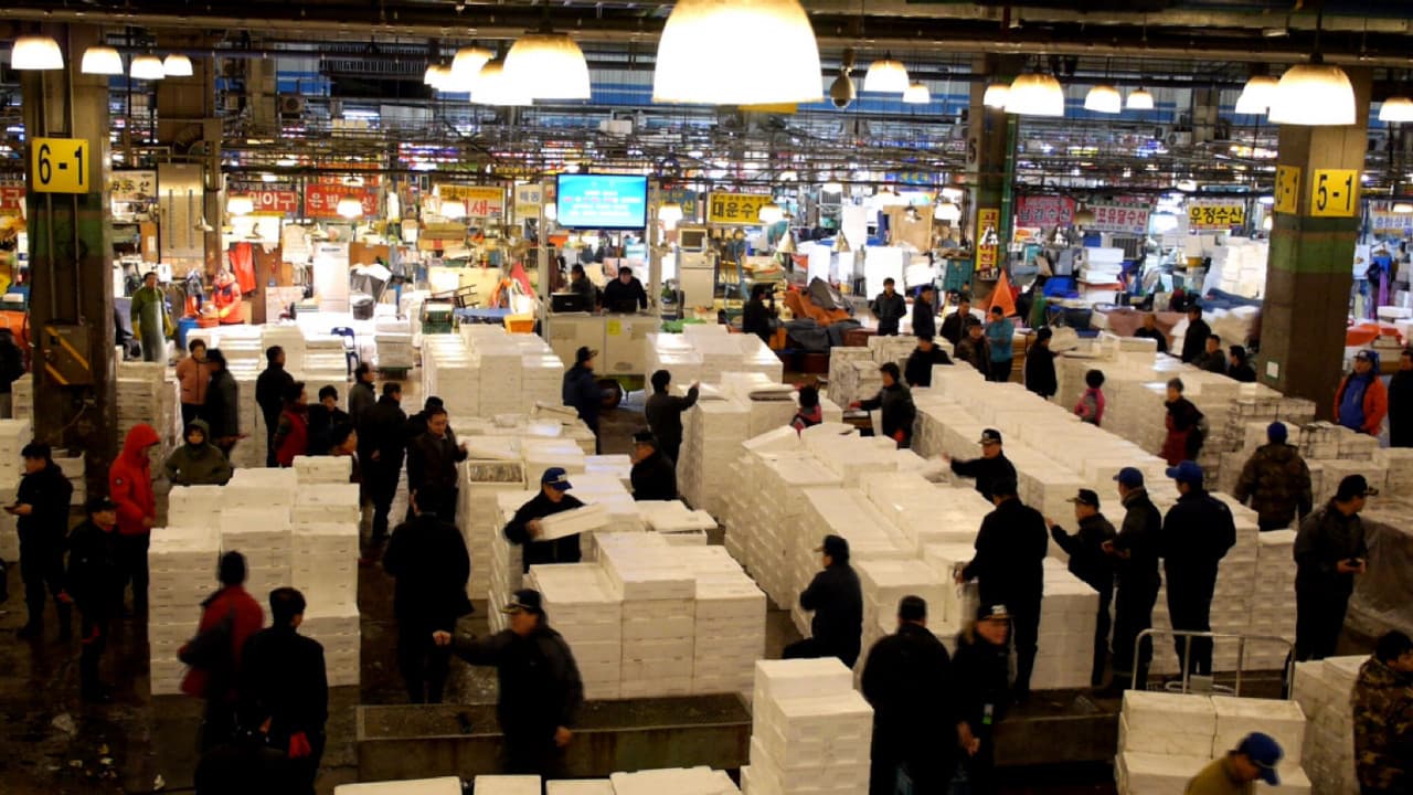 Backdrop – 고진감래