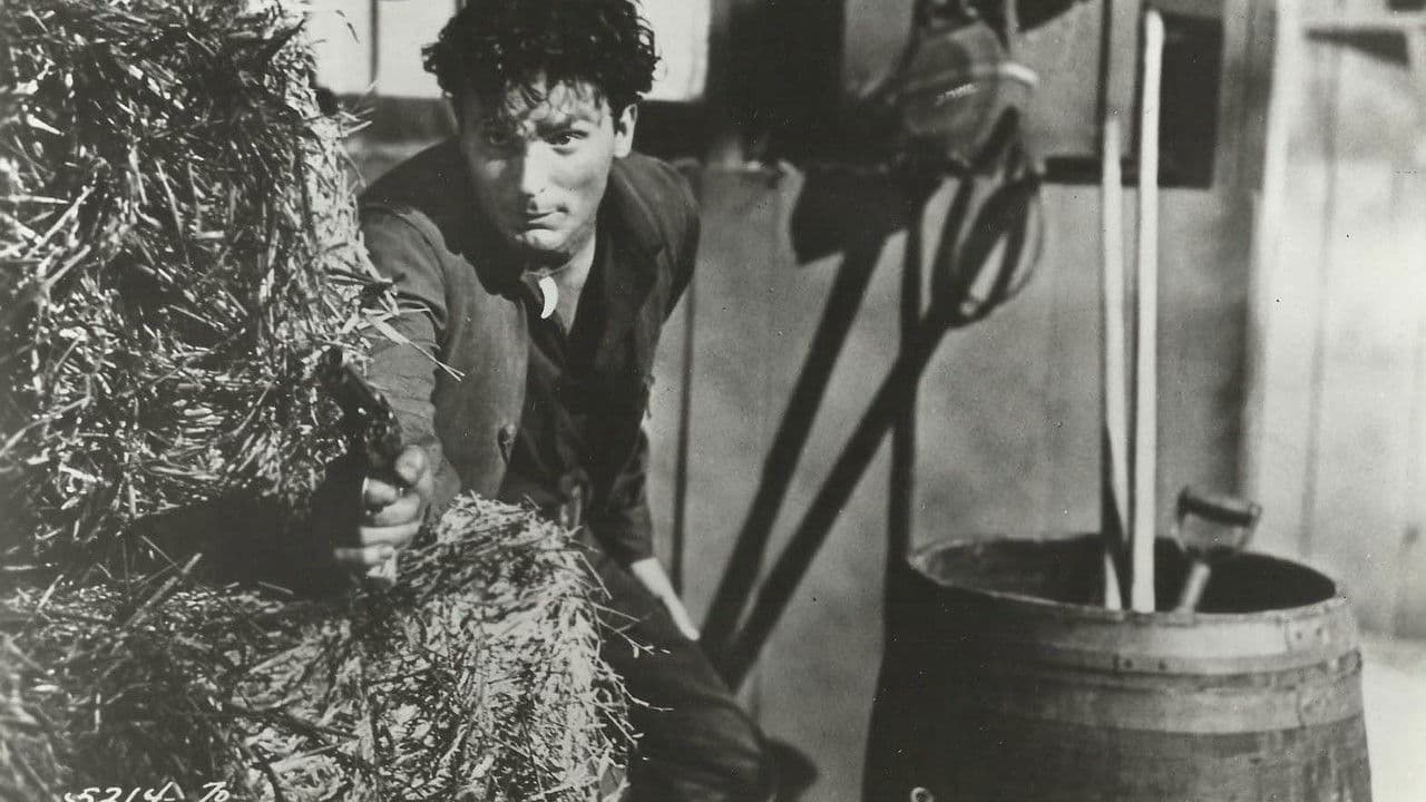 Backdrop – Son of Belle Starr