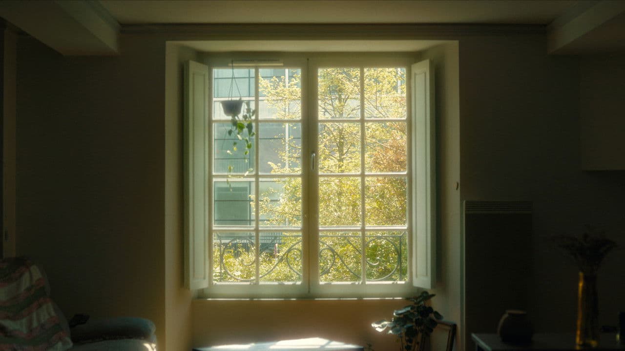 Backdrop – Jamais Mieux