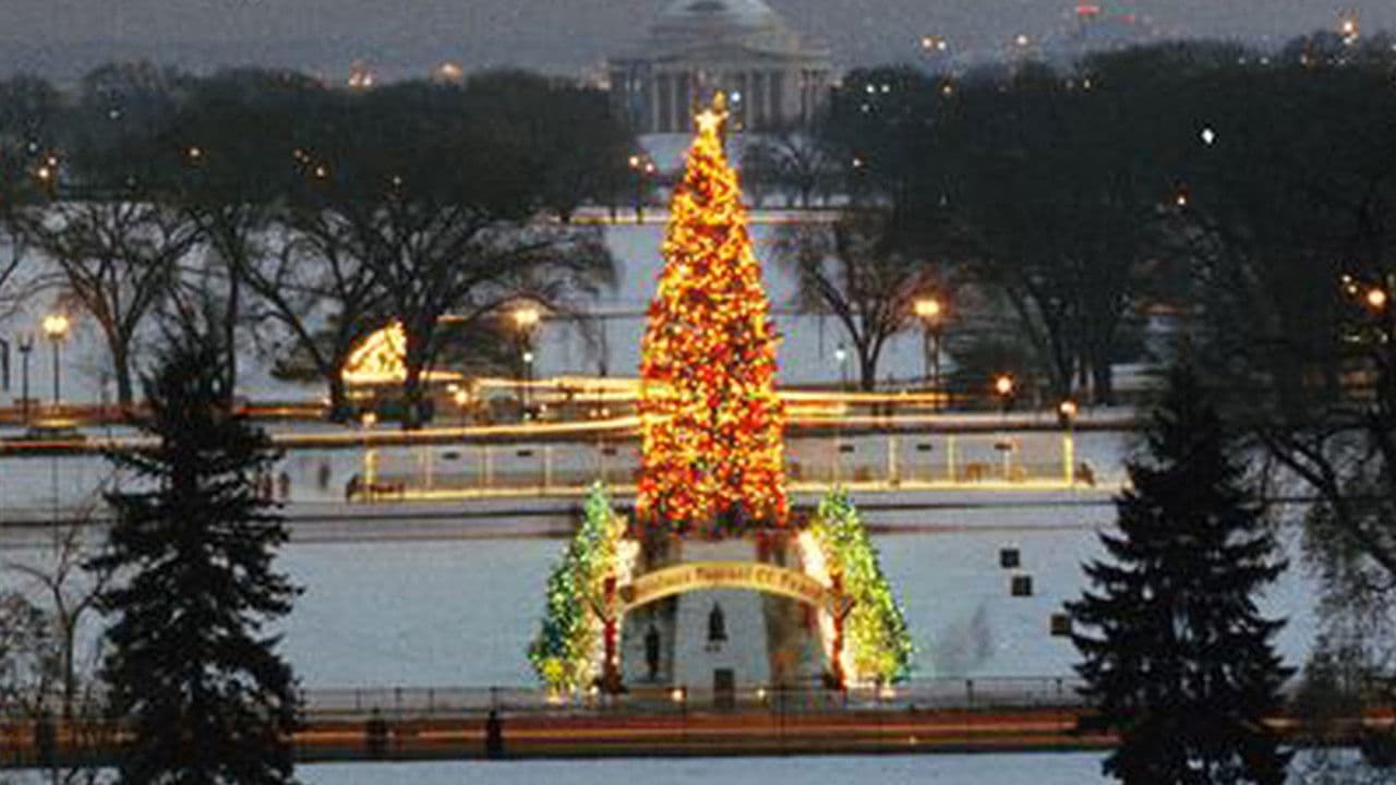 Backdrop – The National Christmas Tree, A Century of Celebration