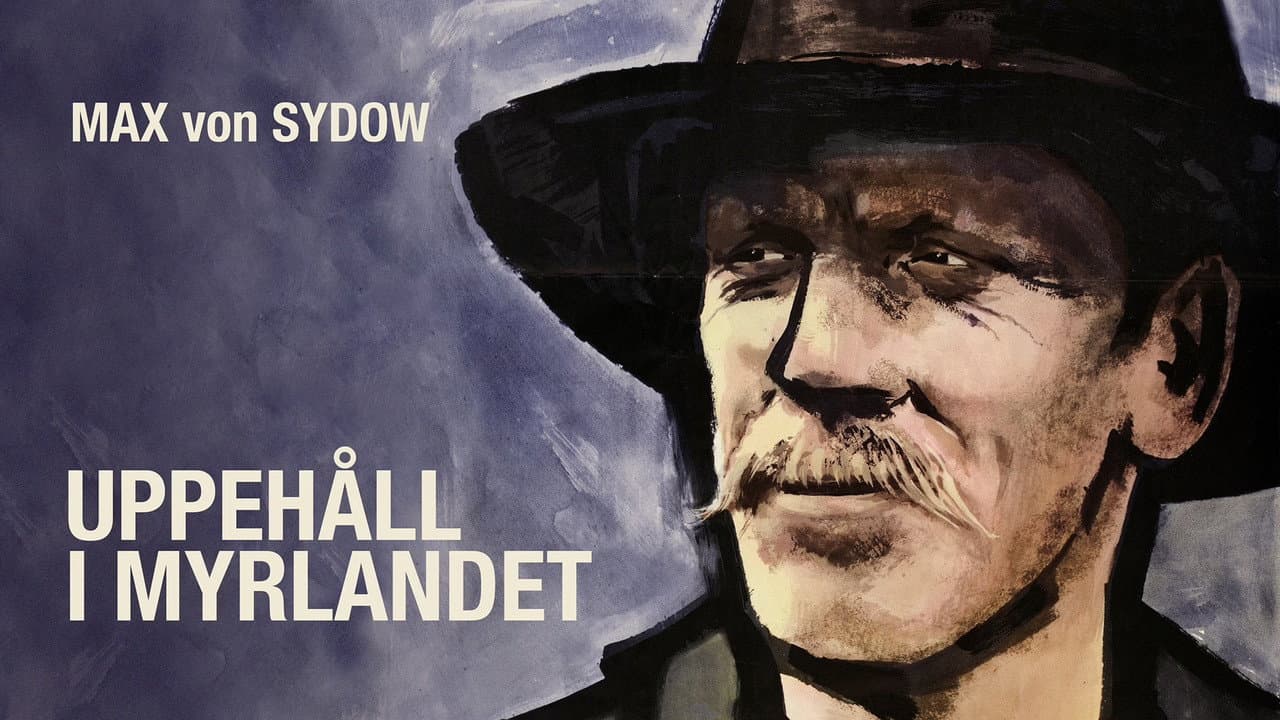 Backdrop – Uppehåll i myrlandet