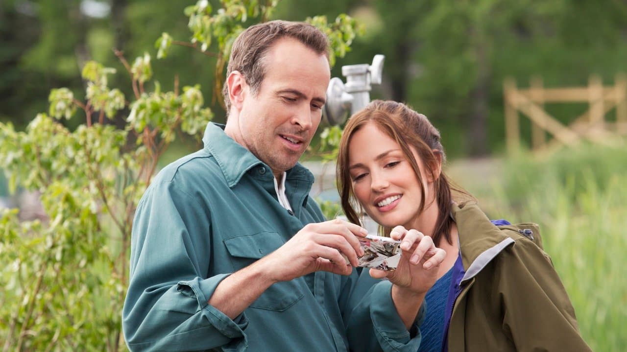 Backdrop – Away and Back - Der Weg der Schwäne