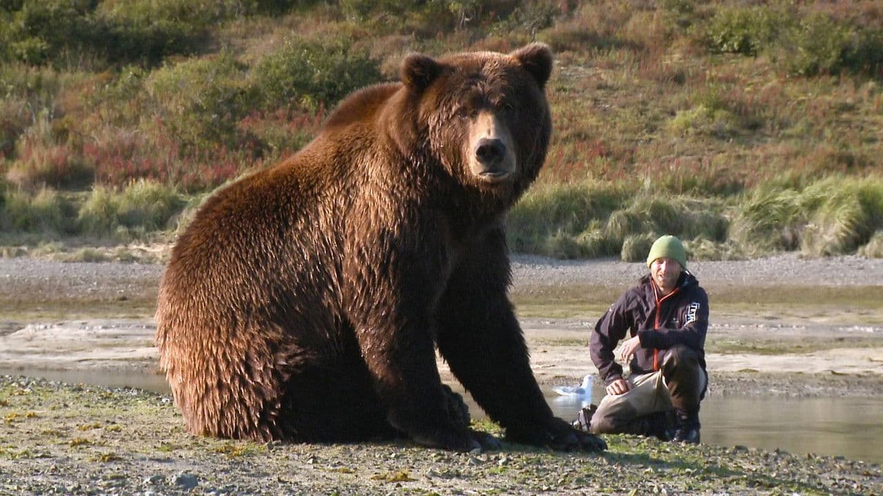 Backdrop – Der Bär in mir