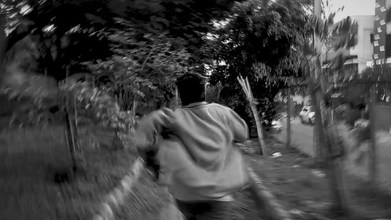 Backdrop – Amygdala