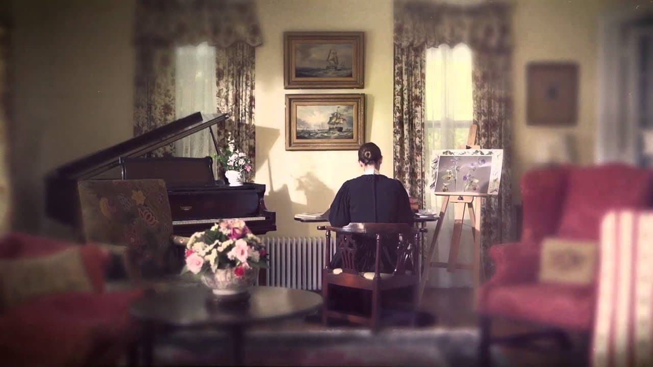 Backdrop – Many Beautiful Things