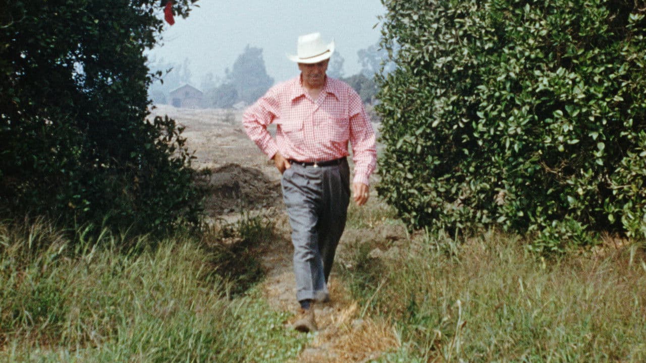 Backdrop – Disneyland – Vom Traum zur Wirklichkeit