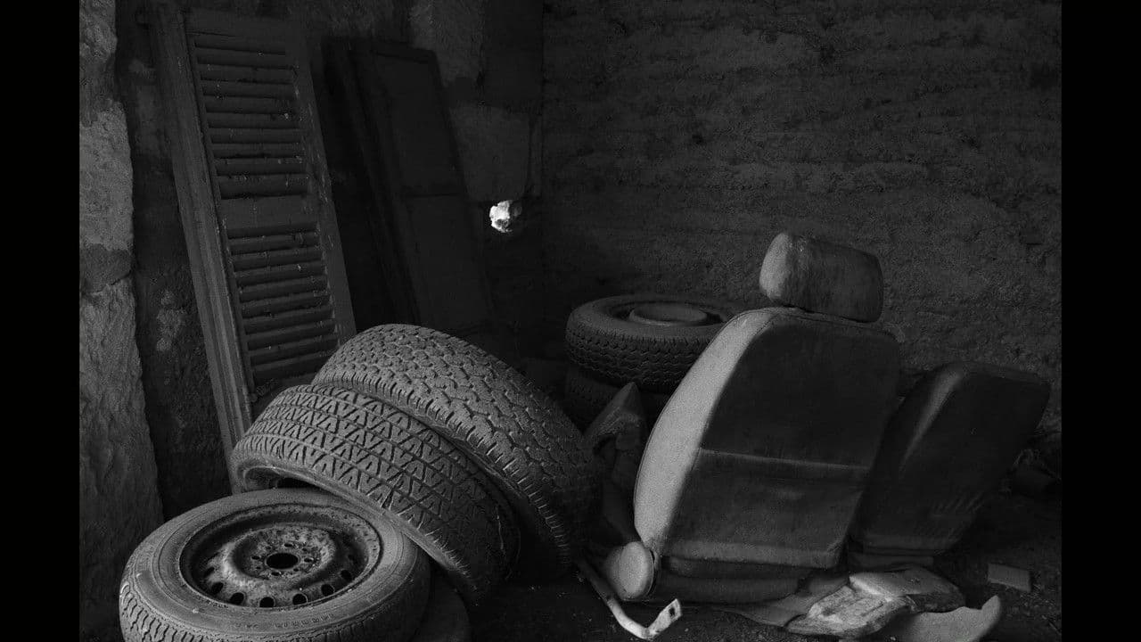 Backdrop – S'Herba Creix