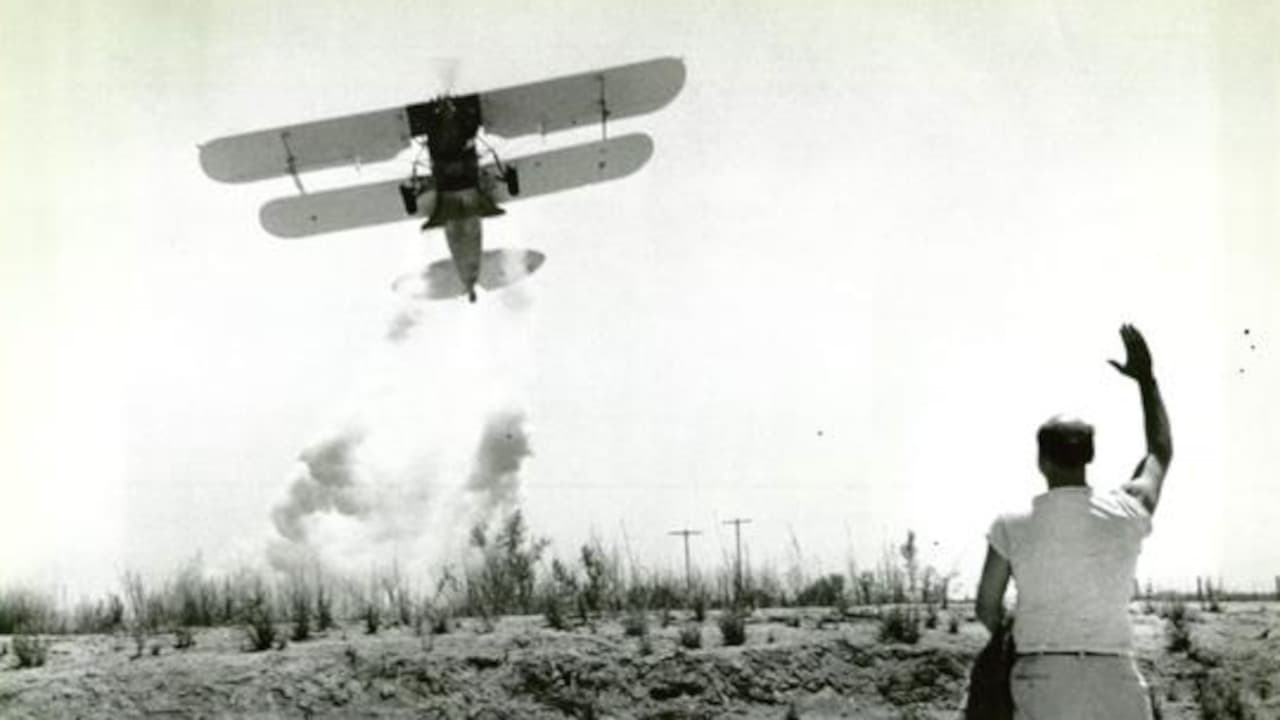 Backdrop – Lola, der blonde Teufel