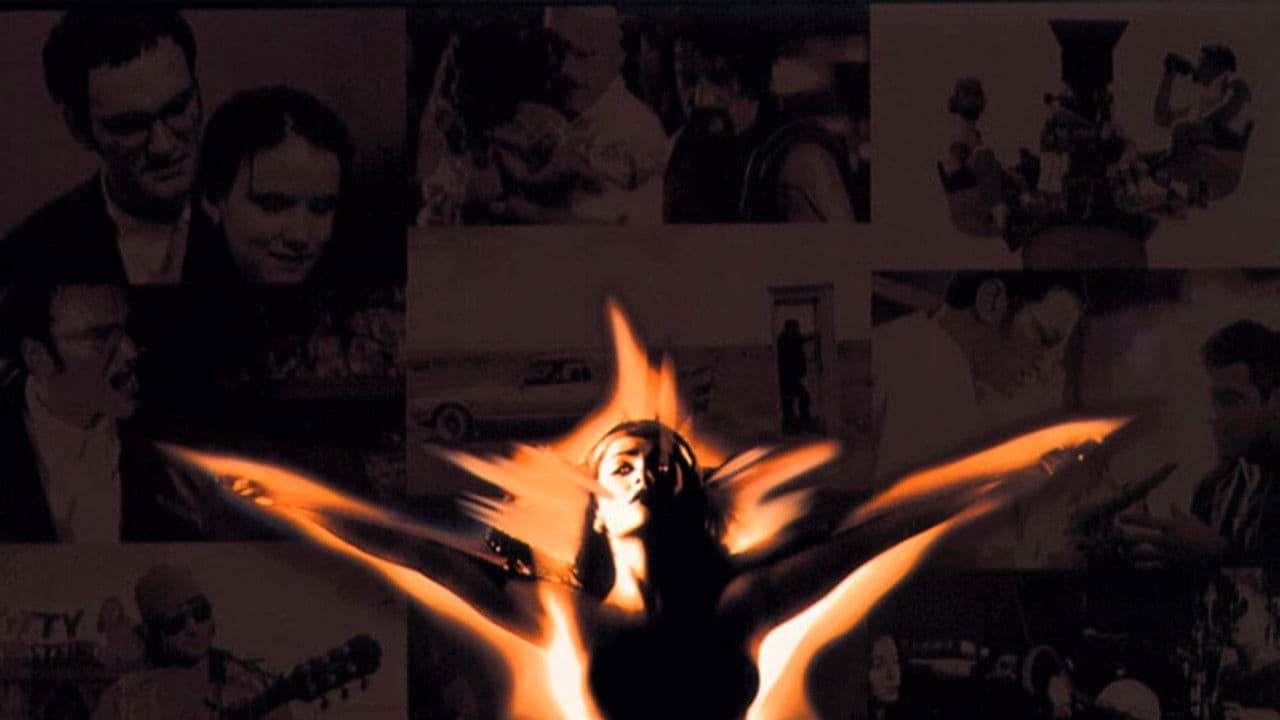 Backdrop – Full Tilt Boogie