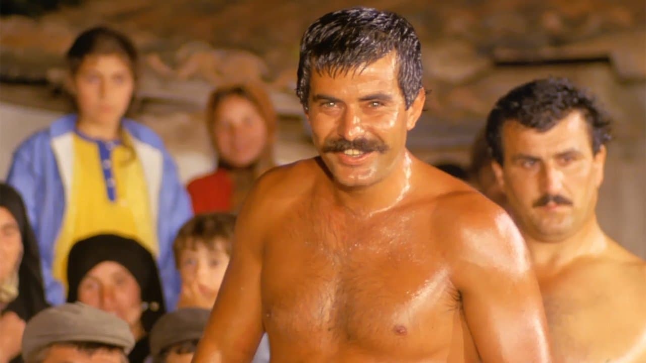 Backdrop – Pehlivan