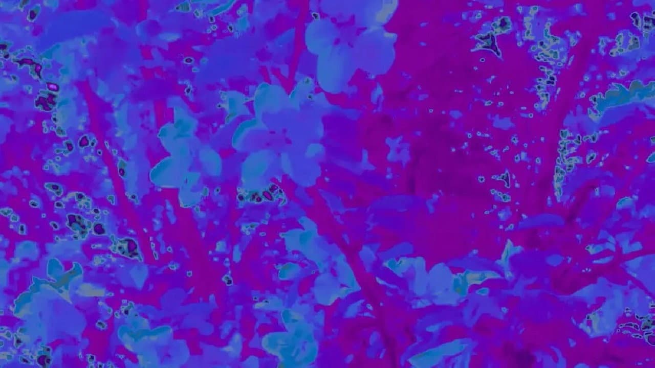 Backdrop – 不要想起我