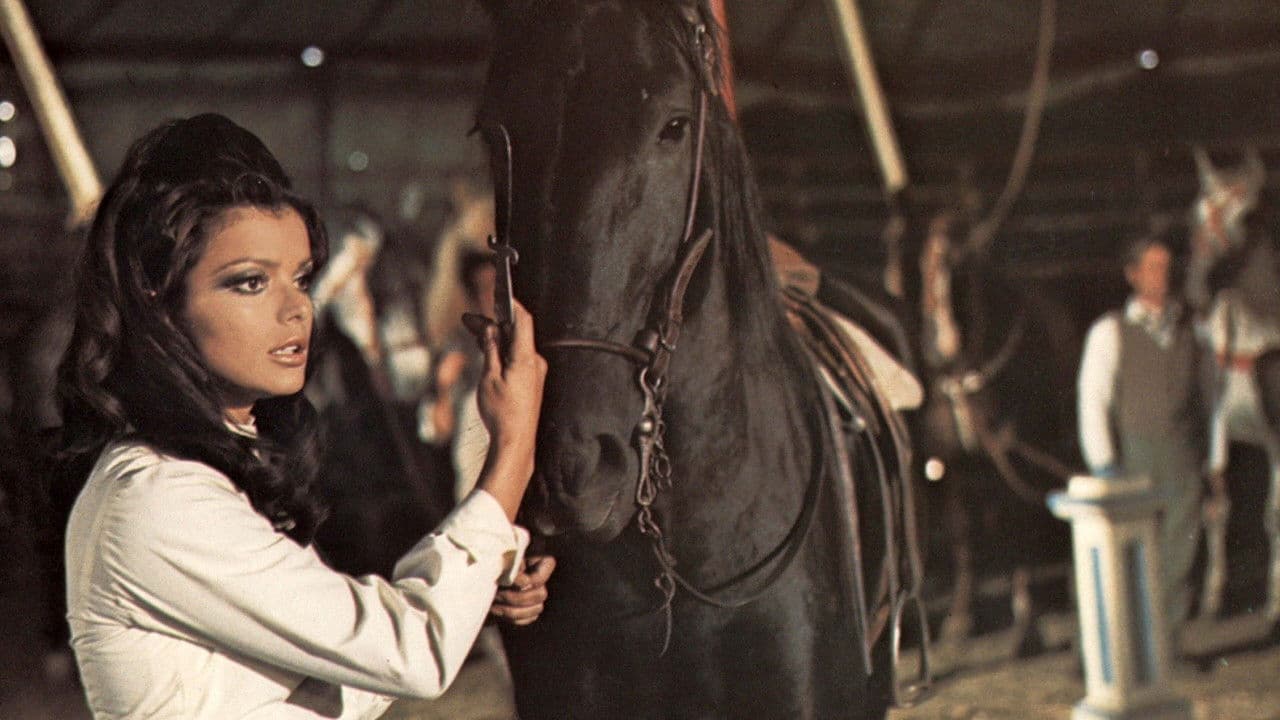 Backdrop – Black Beauty