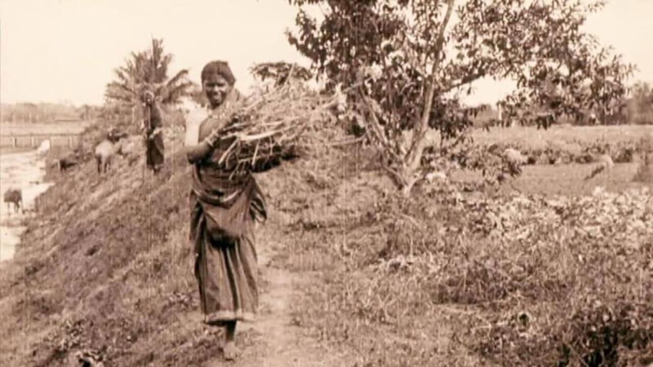 Backdrop – Edward Prince of Wales' Tour of India: Peshawar, The Khyber Pass and Rawl Pindi