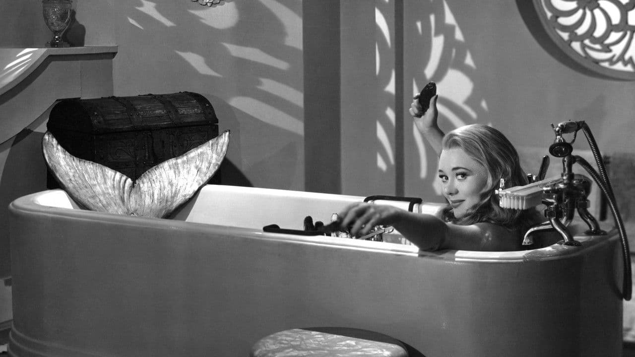 Backdrop – Miranda