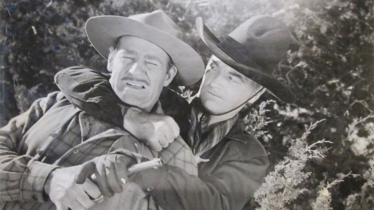 Backdrop – Hidden Gold