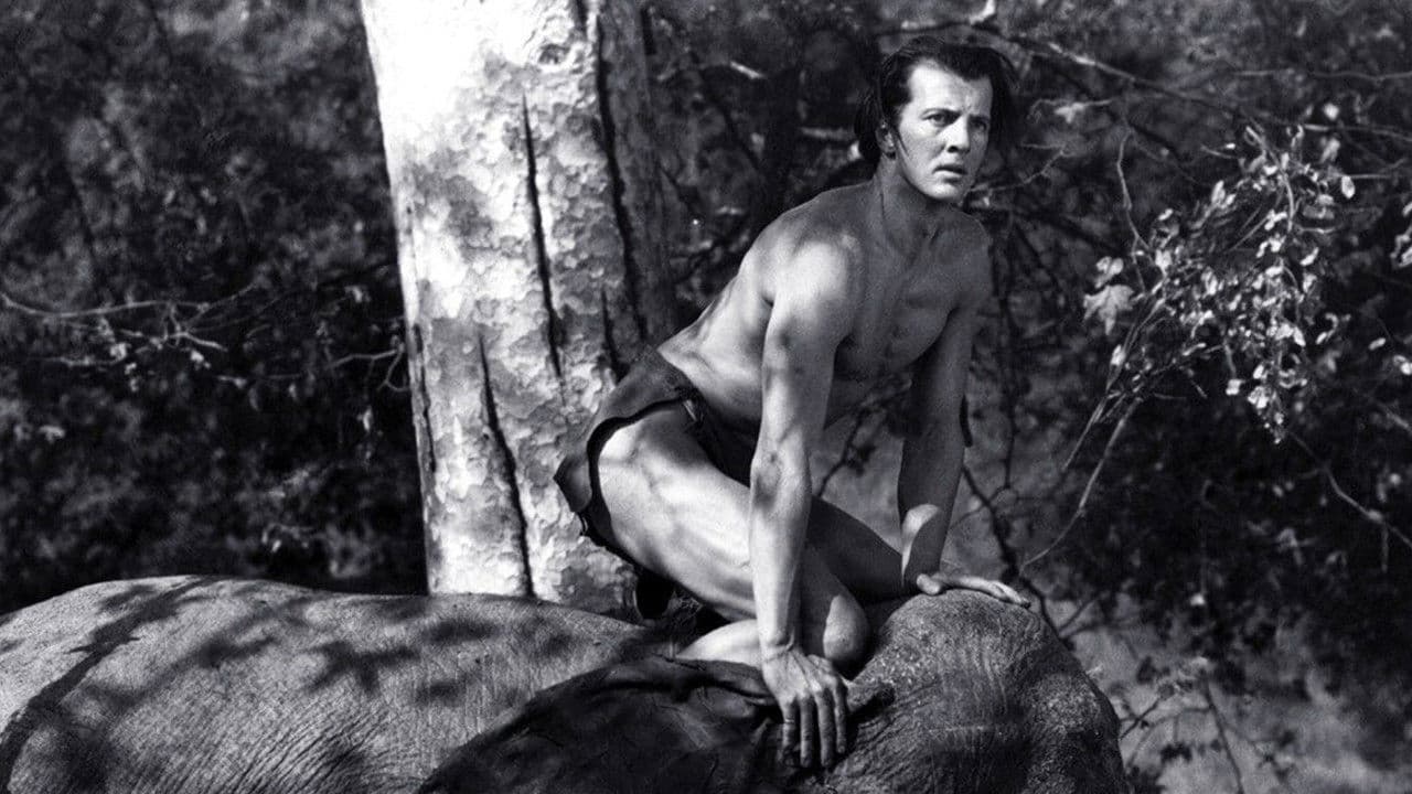 Backdrop – Tarzans neueste Abenteuer - 2. Das Geheimnis der grünen Göttin