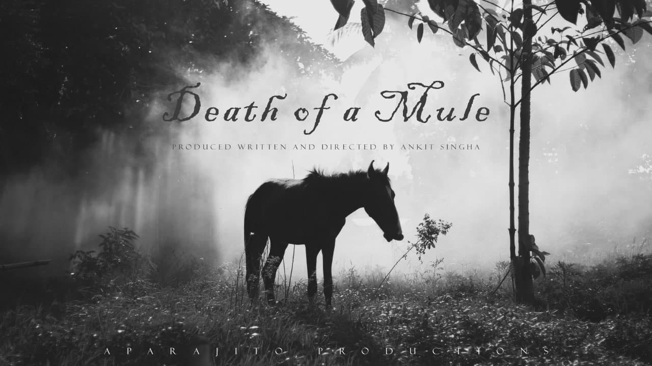 Backdrop – Death of a Mule