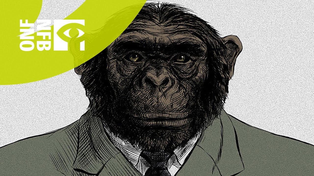 Backdrop – From the Big Bang to Tuesday Morning