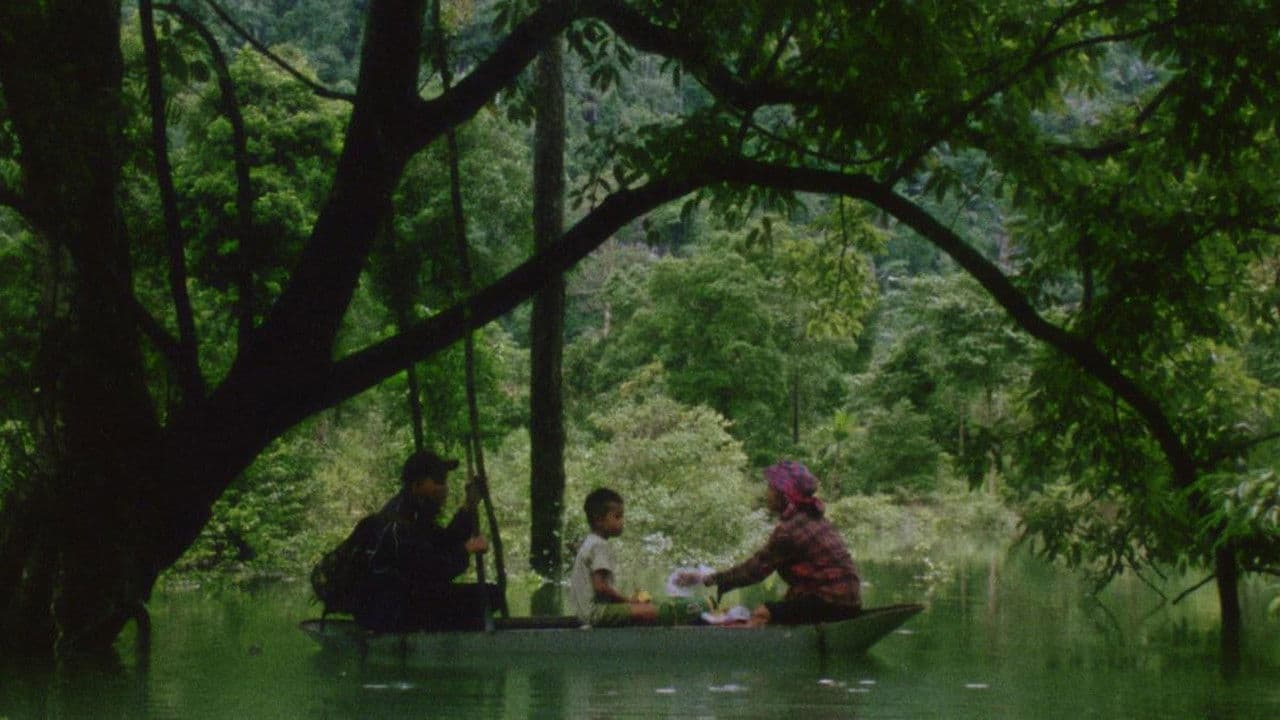 Backdrop – Tóc, giấy và nước...