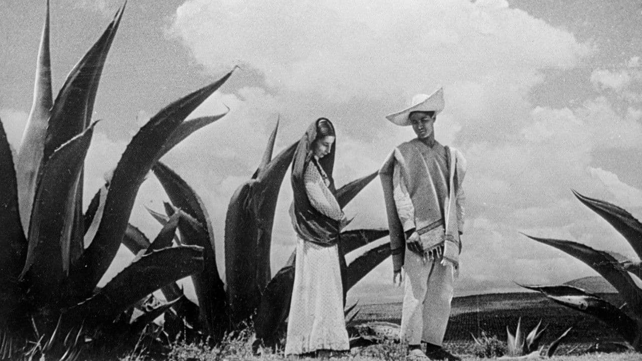 Backdrop – Time in the Sun