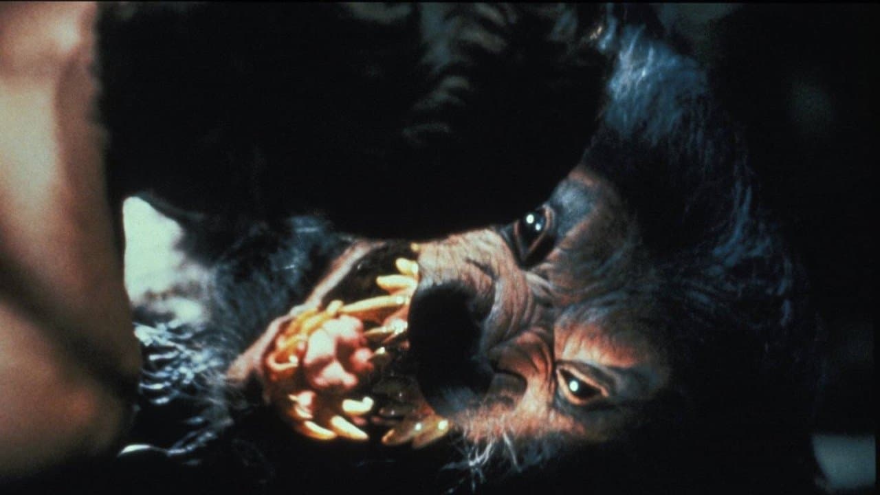 Backdrop – Howling V