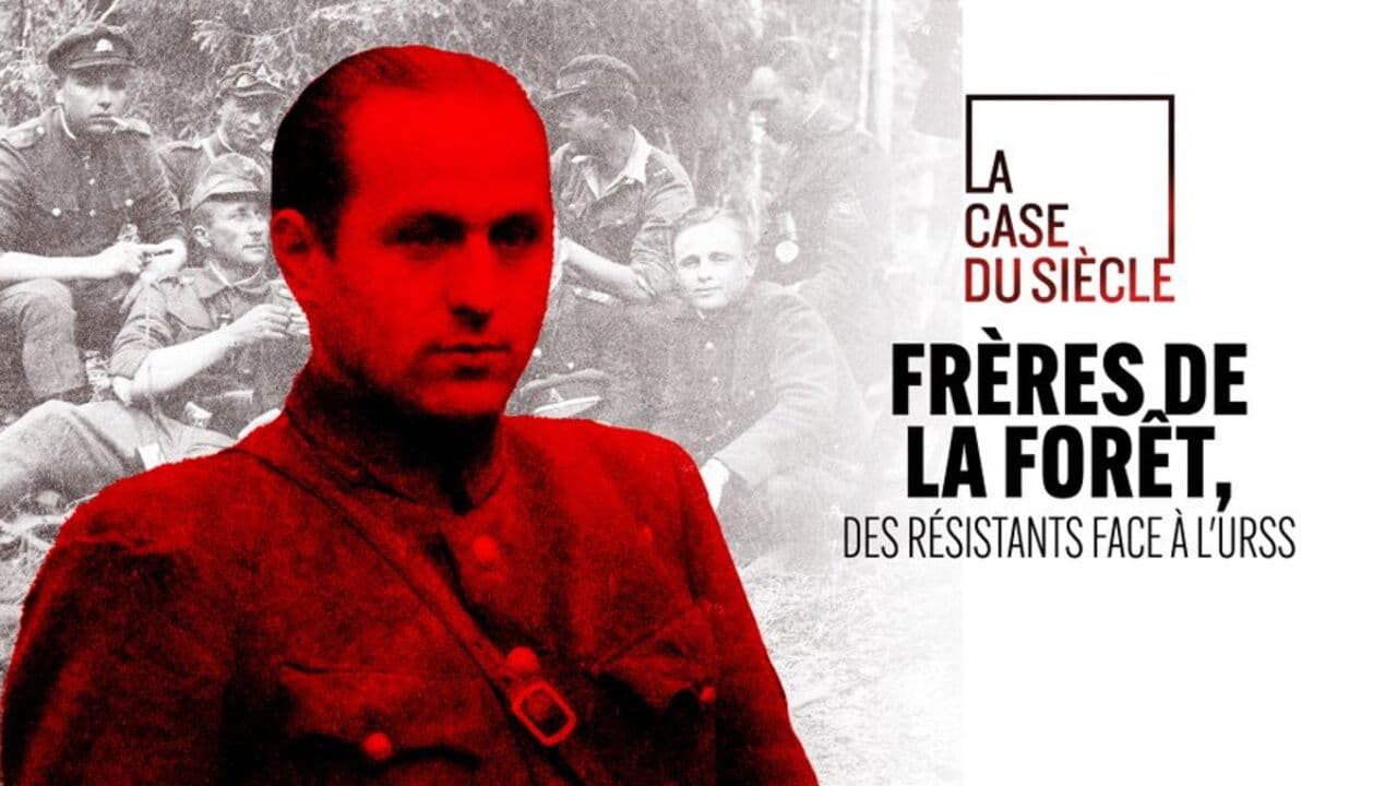 Backdrop – Frères de la forêt, des résistants face à l'URSS