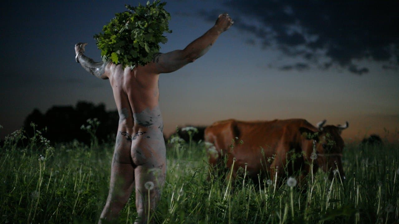 Backdrop – Midsummer Madness