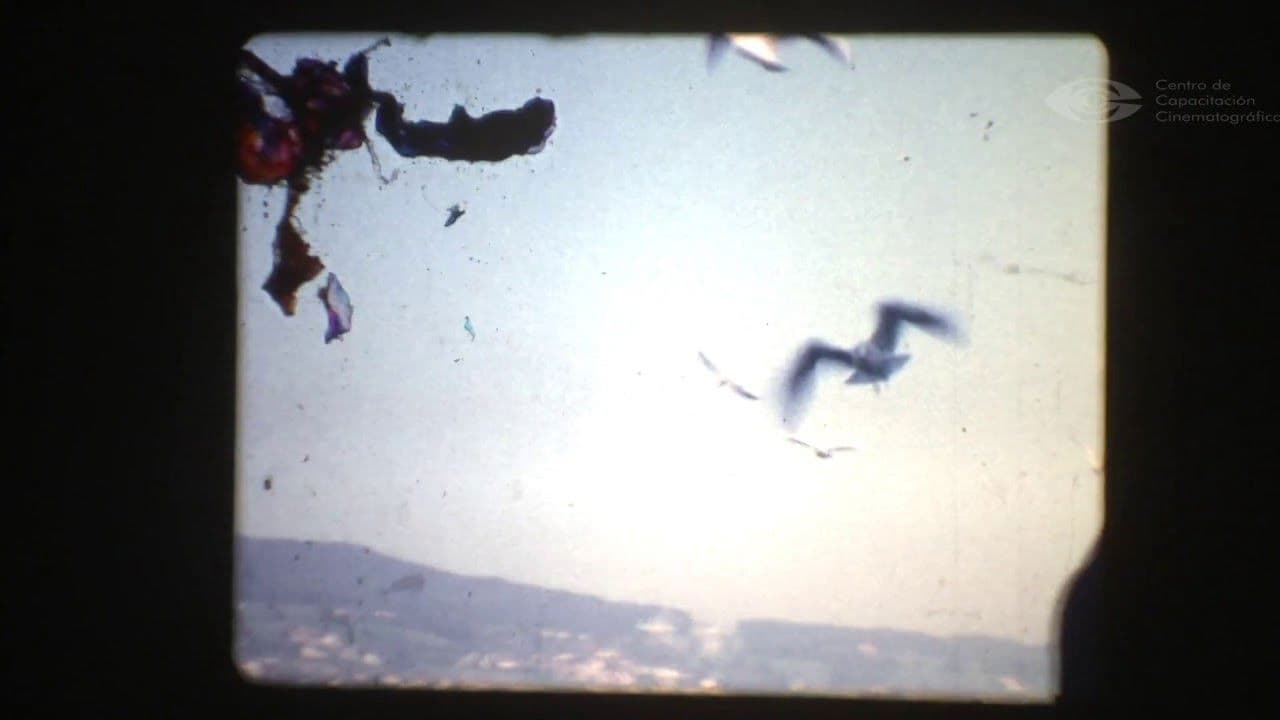 Backdrop – La casa de los Lupulos