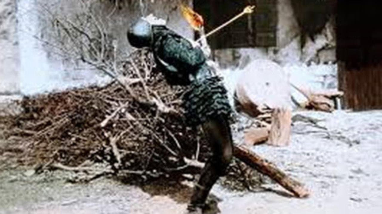 Backdrop – Robin Hood – Der Löwe von Sherwood