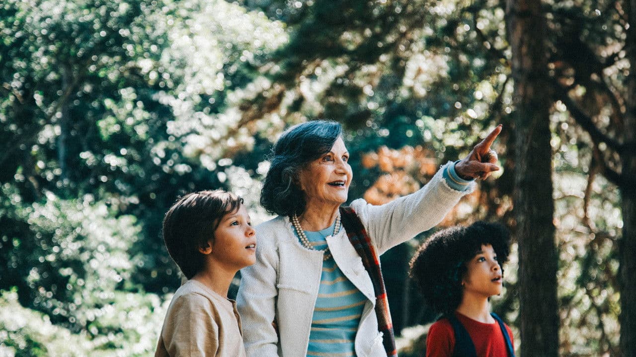 Backdrop – É Tempo de Amoras