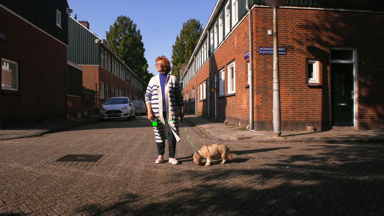 Backdrop – Mijn Noord