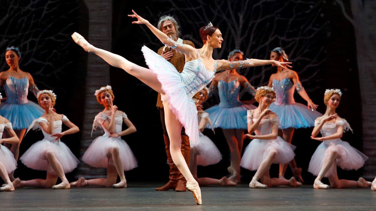 Backdrop – Bolshoi Ballet: Don Quixote