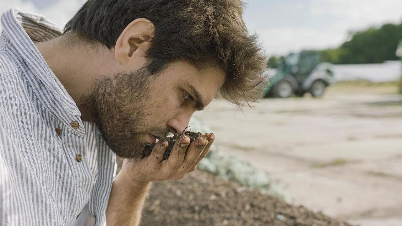 Backdrop – Holy Shit