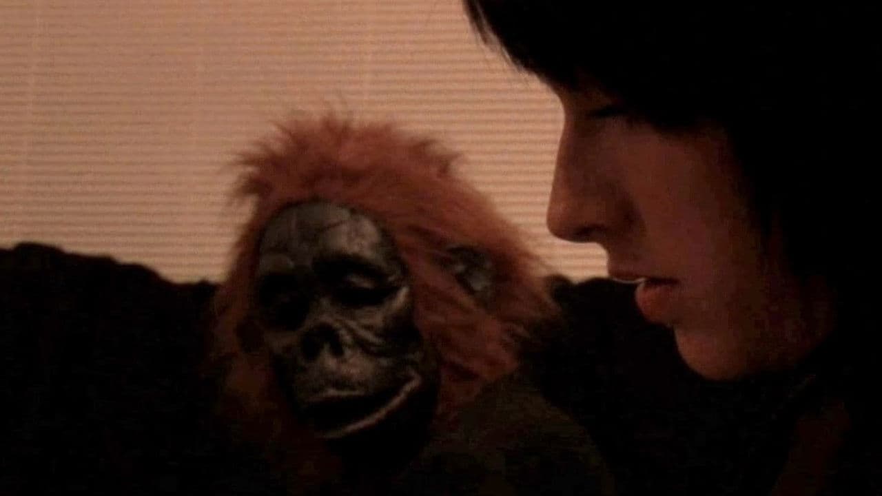 Backdrop – SVEN Ch II