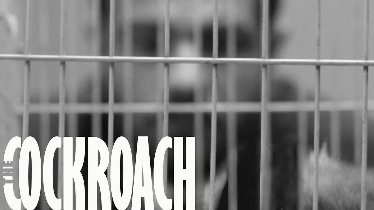 Backdrop – سوسک